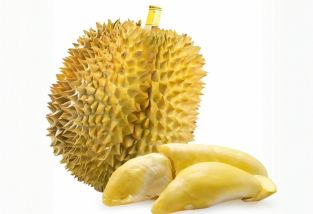 榴蓮挑選指南:怎么挑榴蓮,皮薄肉多的優質